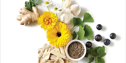 Medicinal Herbs primary image