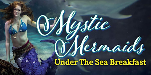 Downtown Aquarium Denver - Mystic Mermaids Under the Sea Breakfast