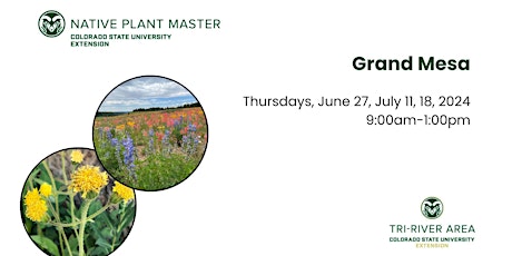 Colorado Native Plant Master: Grand Mesa primary image