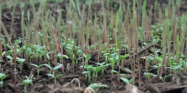 Preparing Your Garden For Fall