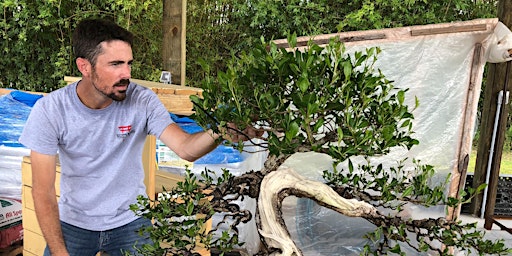 Imagem principal do evento Tropical Bonsai Workshop with Mike Lane