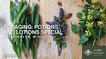 Foraging at Chiddinglye: Potions and Lotions Special