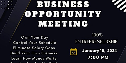 Business Opportunity Meeting primary image