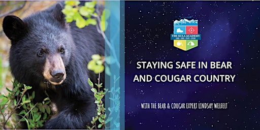 Imagen principal de Staying Safe in Bear and Cougar Country