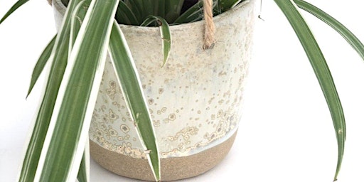 Imagem principal de Hanging Planters and Pots Workshop