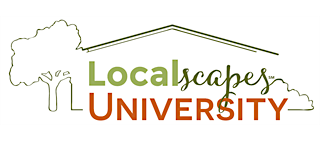 Imagem principal de Localscapes University