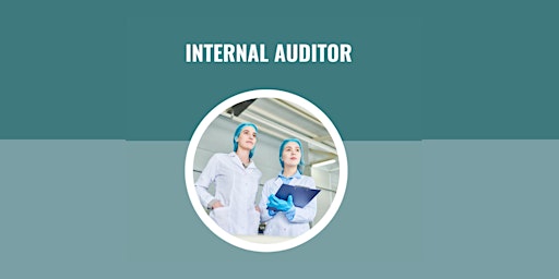 Imagen principal de Internal Auditor