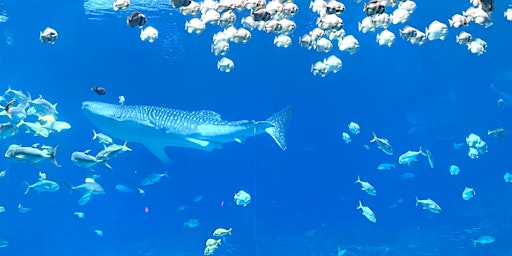 Image principale de NEW NIGHT CLUB EXPERIENCE!  BIG LUXURY FISH TANK WITH SEAFOOD BAR & HOOKAH