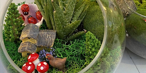 Primaire afbeelding van Terrarium Party