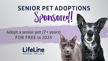 Adopt a Senior Pet for FREE in 2024 primary image