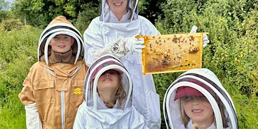 Primaire afbeelding van Family Bee Experience
