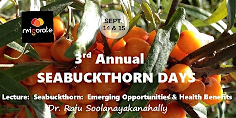 Seabuckthorn:  Emerging Opportunities & Health Benefits primary image