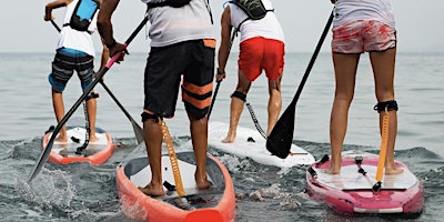 Primaire afbeelding van Chester Paddle Board Festival