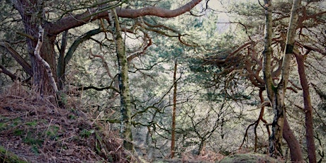 Walking the Weirdstone - Archaeology and the works of Alan Garner