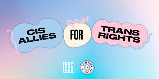 Imagem principal do evento Cis Allies for Trans Rights