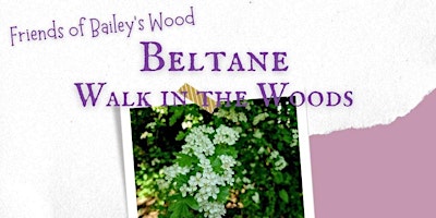 Primaire afbeelding van Beltane Walk in the Woods