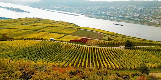 Imagem principal do evento Slow Food Frankfurt Weinwanderung Rheingau/Rüdesheim am Samstag 27.04.2024