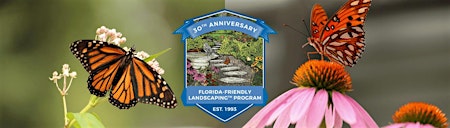 Imagen principal de Florida Friendly Landscaping Consultation January-June2024