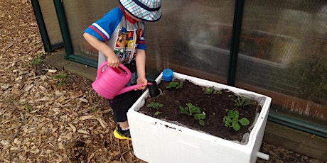 Self Watering Garden Beds (CANCELLED ) primary image