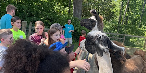 FTAA Zoo Day Camp  primärbild