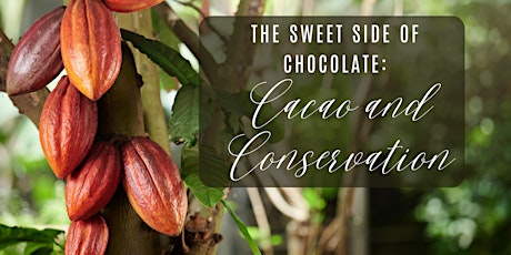 The Sweet Side of Chocolate: Cacao and Conservation