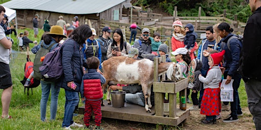 Primaire afbeelding van Family Farm Day: April 6th