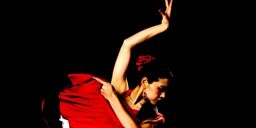Passion of Flamenco primary image