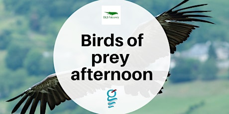Birds of prey afternoon primary image