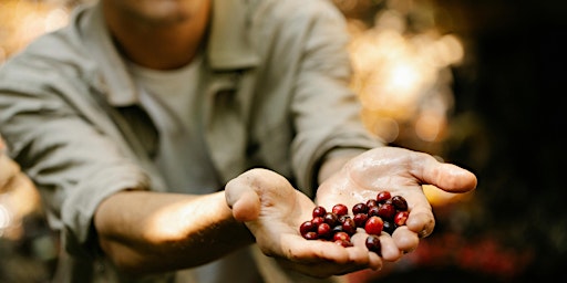 Hauptbild für Cooking with Seasonal Produce & Waste Free Kitchens