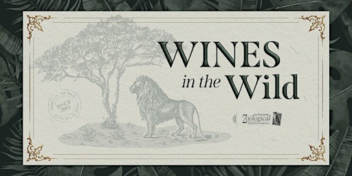 Wines in the Wild primary image