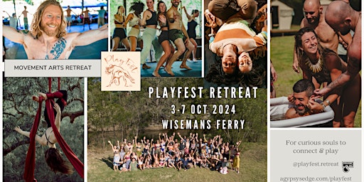 Primaire afbeelding van PlayFest Retreat