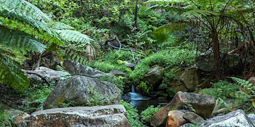 Imagem principal do evento Carnarvon Gorge Landscape Photography Workshop  09Aug24