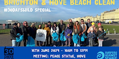 Brighton and Hove beach clean primary image