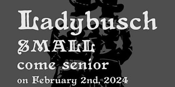 Ladybusch, SMALL, Come Senior