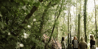 Forest Therapy Wellbeing Walk  primärbild