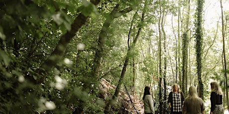 Forest Therapy Wellbeing Walk