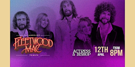 Fleetwood Mac tribute: Landslide