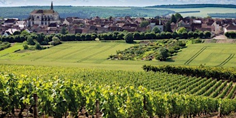 October 2024 Burgundy Immersion Trip Information Session primary image