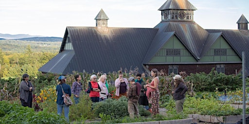 Primaire afbeelding van Growing an Herbal Tea Garden