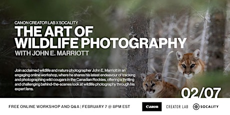 Imagem principal do evento The Art of Wildlife Photography with John E. Marriott