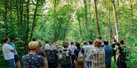 DÉCOUVERTE D’UN ENS : UNE NUIT EN FORÊT