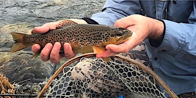 Imagem principal de Fly Fishing Class | Winston-Salem, NC