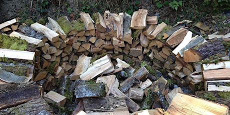 Wood Gathering to Feed the Healing Fires primary image