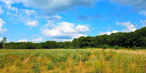 Foraging & Wildlife Safari @ The Land of Odd, Beaverville IL primary image