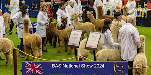 Immagine principale di British Alpaca Society National Show 2024 