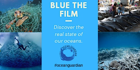 Blue the Movie - a hard hitting  look at the state of our oceans primary image