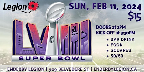 SUPER BOWL XLIII VIEWING PARTY primary image