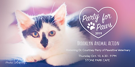 Party For Paws Fundraiser 2019 primary image