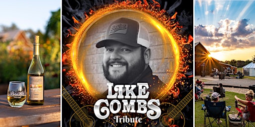 Imagem principal do evento Luke Combs covered by Like Combs / Texas wine / Anna, TX