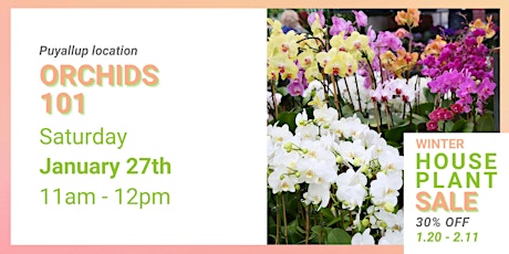 Orchids 101 Seminar: Puyallup Saturday, Jan 27th, 11am primary image